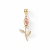 Thumbnail Image 0 of Rose Charm in 10K Two-Tone Gold