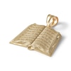 Thumbnail Image 1 of Textured Lord's Prayer in Open Bible Necklace Charm in 10K Solid Gold