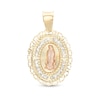 Thumbnail Image 0 of Cubic Zirconia Our Lady of Guadalupe Oval Medallion Necklace Charm in 10K Semi-Solid Two-Tone Gold