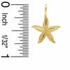 Thumbnail Image 1 of Starfish Charm in 10K Gold