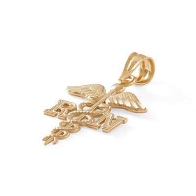 Registered Nurse Symbol Charm in 10K Gold
