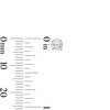 Thumbnail Image 4 of 4mm Cubic Zirconia Stud Earrings in Sterling Silver