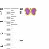 Child's Pink Enamel Butterfly Stud Earrings in 10K Gold