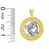 Thumbnail Image 2 of Reversible Zodiac Aquarius Charm in 10K Two-Tone Gold
