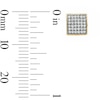 Thumbnail Image 2 of 1/5 CT. T.W. Diamond Puffed Square Earrings in 10K Gold