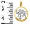 Thumbnail Image 1 of Small Zodiac Taurus Charm in 10K Two-Tone Gold