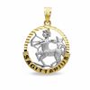 Thumbnail Image 1 of Small Zodiac Sagittarius Charm in 10K Two-Tone Gold
