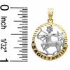 Thumbnail Image 2 of Small Zodiac Sagittarius Charm in 10K Two-Tone Gold