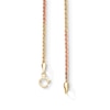 Thumbnail Image 5 of 10K Hollow Gold Tri-Tone Rope Chain - 20&quot;