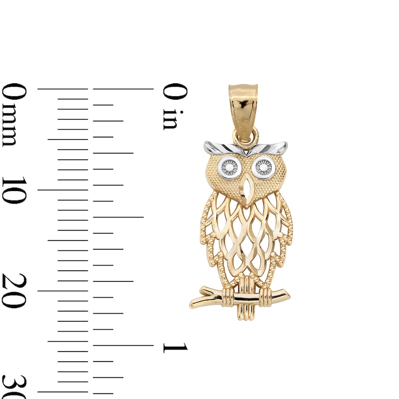 Main Image 4 of Diamond-Cut Owl Charm in 10K Solid Two-Toned Gold