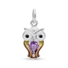 Thumbnail Image 0 of Pear-Shaped Purple Cubic Zirconia and Multi-Color Enamel Owl Charm in Sterling Silver