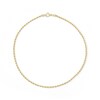 Thumbnail Image 2 of 190 Gauge Rope Chain Anklet in 10K Gold - 10"