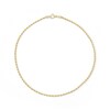 Thumbnail Image 1 of 190 Gauge Rope Chain Anklet in 10K Gold - 10"