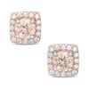 Thumbnail Image 0 of 5mm Champagne and White Cubic Zirconia Frame Stud Earrings in Sterling Silver and 14K Rose Gold Plate