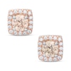 Thumbnail Image 1 of 5mm Champagne and White Cubic Zirconia Frame Stud Earrings in Sterling Silver and 14K Rose Gold Plate