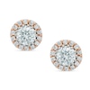 6mm Cubic Zirconia Frame Stud Earrings in Sterling Silver and 18K Rose Gold Plate