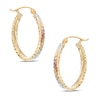Oval Diamond-Cut Hoop Earrings in 14K Tri-Tone Gold
