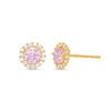 4mm Pink Cubic Zirconia Frame Stud Earrings in 14K Rose Gold