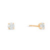 Thumbnail Image 1 of Cubic Zirconia Front/Back Earrings in 10K Gold
