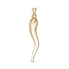 Thumbnail Image 1 of Large Italian Horn Necklace Charm in 10K Gold
