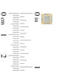 Thumbnail Image 2 of 1/20 CT. T.W. Composite Diamond Square Dimensional Stud Earrings in 10K Gold