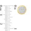 Thumbnail Image 2 of 1/6 CT. T.W. Composite Diamond Stud Earrings in 10K Gold