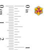 Child's Multi-Shape Iridescent and White Cubic Zirconia Stud Earrings Set in 10K Gold