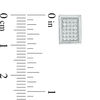 Thumbnail Image 2 of Cubic Zirconia Pavé Rectangle Composite Stud Earrings in Sterling Silver