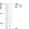 Thumbnail Image 2 of 1/4 CT. T.W. Composite Diamond Flower Stud Earrings in 10K Gold
