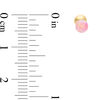 Thumbnail Image 2 of Child's 4mm Simulated Pink Opal and Ball Reversible Stud Earrings in 14K Gold