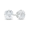 Thumbnail Image 0 of 6.0mm Fancy Square Cubic Zirconia Solitaire Stud Piercing Earrings in 14K Solid White Gold