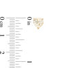 Multi-Shape Cubic Zirconia Stud Earrings Set in 10K Gold