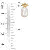 5 - 7mm Baroque Freshwater Cultured Pearl Pineapple Stud Earrings in 14K Gold