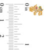 Thumbnail Image 2 of 019 Gauge Multi-Color Cubic Zirconia Beaded Unicorn Cartilage Barbell in 14K Gold