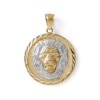 Multi-Finish Lions Head Medallion Necklace Charm in 10K Solid Two-Tone Gold