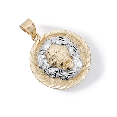 Multi-Finish Lions Head Medallion Necklace Charm in 10K Solid Two-Tone Gold