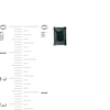 Thumbnail Image 2 of Black Cubic Zirconia Stud Earrings Set in Sterling Silver