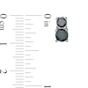 Thumbnail Image 2 of 1-1/3 CT. T.W. Black Diamond Stacked Duo Stud Earrings in Sterling Silver with Black Rhodium