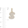 10K Gold CZ Puffed "S" Charm