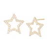 Cubic Zirconia Star Stud Earrings in 10K Gold