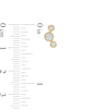 Thumbnail Image 1 of 1/20 CT. T.W. Composite Diamond Three Stone Stud Earrings in 10K Gold