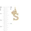 Thumbnail Image 1 of Cubic Zirconia "S" Initial with Tilted Crown Necklace Charm in 10K Solid Gold