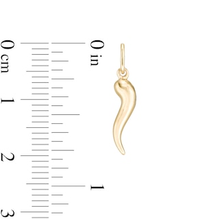 Small Cornicello Necklace Charm in 10K Stamp Hollow Gold