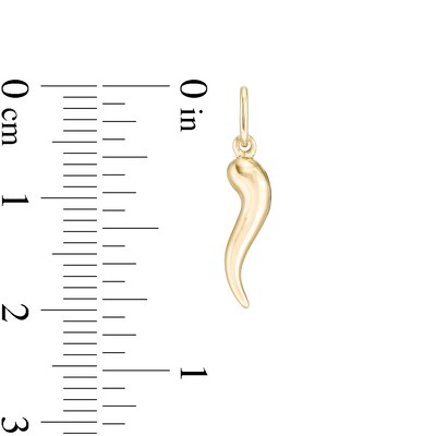 Small Cornicello Necklace Charm in 10K Stamp Hollow Gold