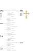 Thumbnail Image 2 of Diamond-Cut Cross Stud Earrings in 10K Gold