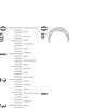 Thumbnail Image 2 of Cubic Zirconia Crescent Moon Stud Earrings in Solid Sterling Silver