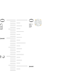 Thumbnail Image 1 of Single 1/6 CT. Diamond Solitaire Stud Earring in 10K Gold