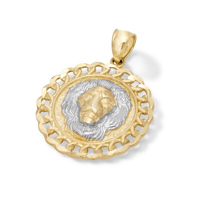 Lion Head Curb Chain Frame Medallion Two-Tone Necklace Charm in 10K Solid Gold