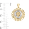 Thumbnail Image 6 of Lion Head Curb Chain Frame Medallion Two-Tone Necklace Charm in 10K Solid Gold