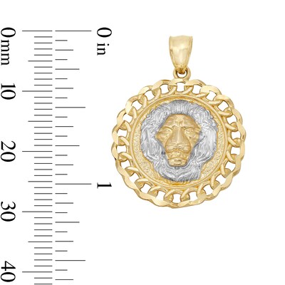 Lion Head Curb Chain Frame Medallion Two-Tone Charm in 10K Solid Gold